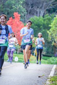 BIB: 004, 2015, 8194
                            <button type="button" onclick="openModal(19241404)" class="btn btn-primary btn-sm float-right btn-popup" data-toggle="modal" data-target=".modal-high-quality">
                        <i class="fas fa-shopping-cart"></i> Add to Cart
                    </button>
                                            <button type="button" onclick="isThisMe(19241404, true)" class="btn btn-success btn-sm float-right btn-popup btn-isme hidden" data-toggle="tooltip" data-placement="bottom" title="นี่คือรูปของคุณใช่ไหม คลิกที่นี่เพื่อเอาเข้าอัลบั้ม">
                        <i class="fas fa-plus"></i> Add to album
                    </button>
                    <button type="button" onclick="isThisMe(19241404, false)" class="btn btn-warning btn-sm float-right btn-popup btn-isnotme hidden">
                        <i class="fas fa-ban"></i> Remove from album
                    </button>